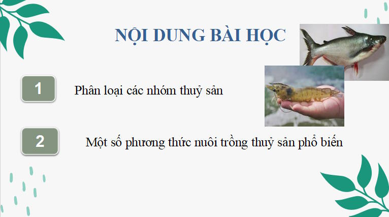 Giáo án PowerPoint Công nghệ 12 Cánh diều Bài 10