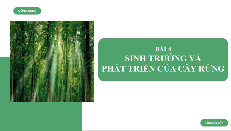 Giáo án PowerPoint Công nghệ 12 Cánh diều Bài 4