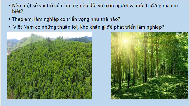 Giáo án PowerPoint Công nghệ 12 Cánh diều Bài 8