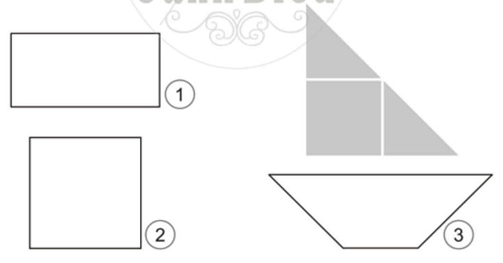 Vở bài tập Toán lớp 2 Cánh diều Bài 46: Luyện tập chung (trang 79)