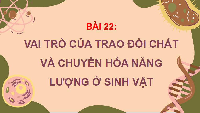 PowerPoint Khoa học tự nhiên 7 Chân trời sáng tạo Bài 22