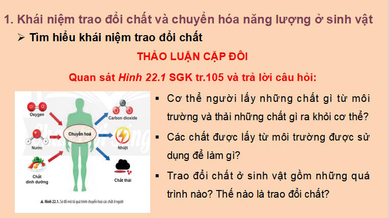 PowerPoint Khoa học tự nhiên 7 Chân trời sáng tạo Bài 22