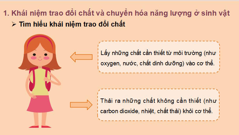 PowerPoint Khoa học tự nhiên 7 Chân trời sáng tạo Bài 22