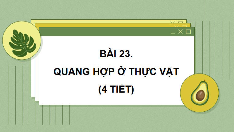 PowerPoint Khoa học tự nhiên 7 Chân trời sáng tạo Bài 23