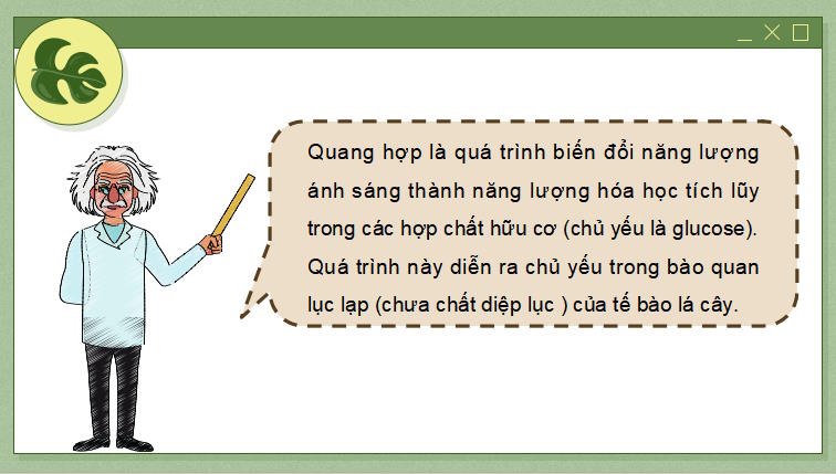 PowerPoint Khoa học tự nhiên 7 Chân trời sáng tạo Bài 23