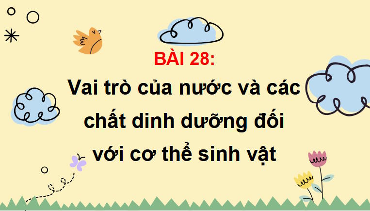 PowerPoint Khoa học tự nhiên 7 Chân trời sáng tạo Bài 28