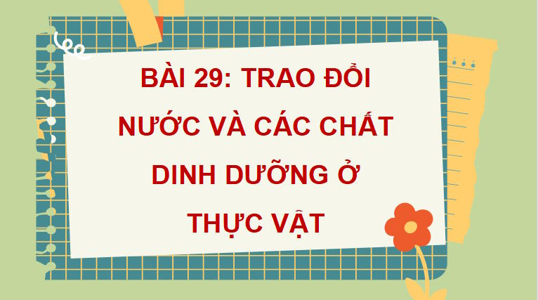 PowerPoint Khoa học tự nhiên 7 Chân trời sáng tạo Bài 29