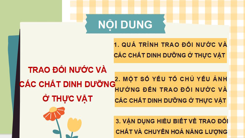 PowerPoint Khoa học tự nhiên 7 Chân trời sáng tạo Bài 29
