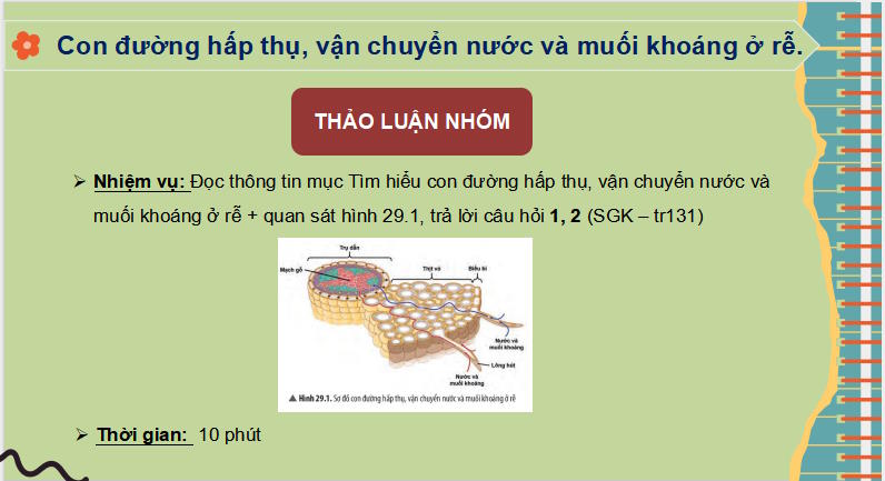 PowerPoint Khoa học tự nhiên 7 Chân trời sáng tạo Bài 29