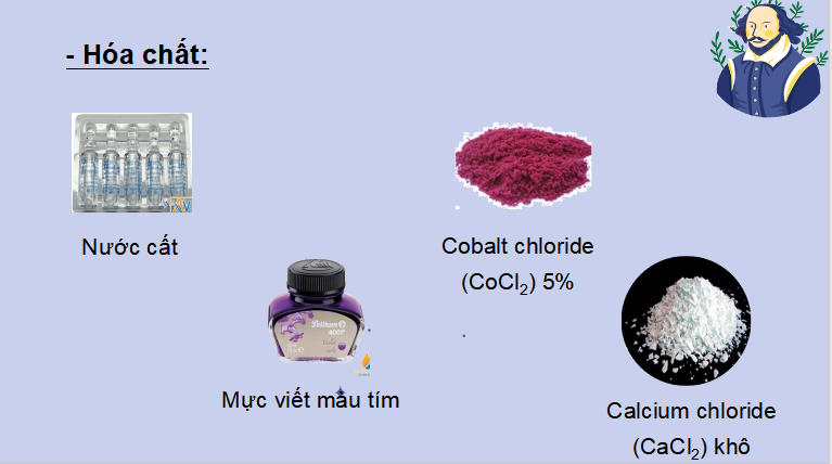 PowerPoint Khoa học tự nhiên 7 Chân trời sáng tạo Bài 31