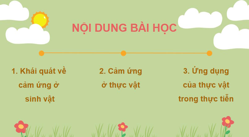 PowerPoint Khoa học tự nhiên 7 Chân trời sáng tạo Bài 32