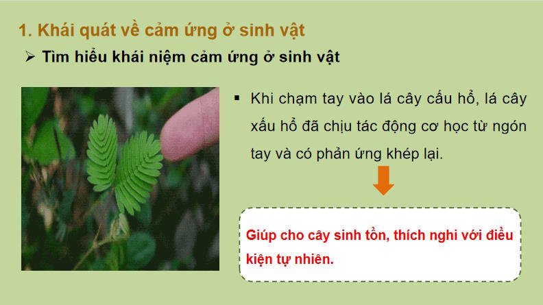 PowerPoint Khoa học tự nhiên 7 Chân trời sáng tạo Bài 32