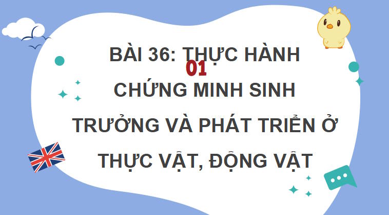 PowerPoint Khoa học tự nhiên 7 Chân trời sáng tạo Bài 36