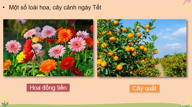 Cong nghe 4 Cd ki 1 4*801890