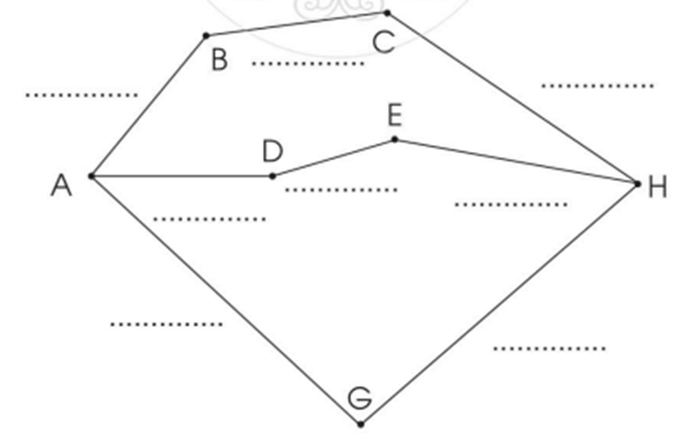 Vở bài tập Toán lớp 2 Cánh diều Bài 49: Ôn tập về hình học và đo lường (trang 86)
