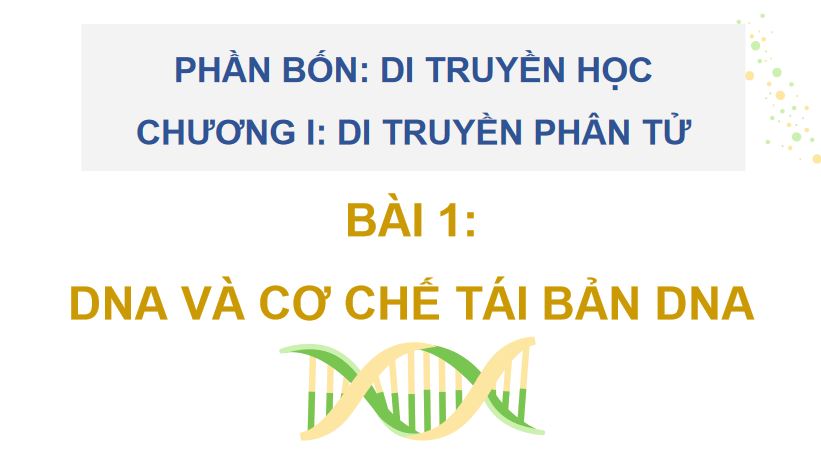 PowerPoint Sinh 12 Kết nối tri thức