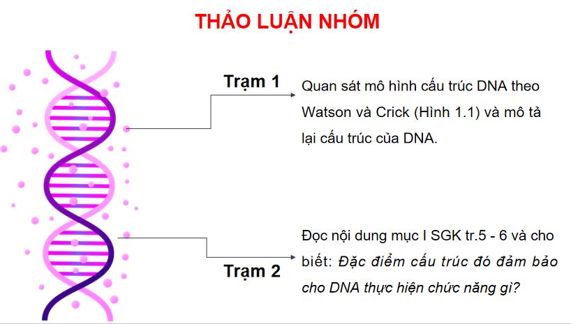 PowerPoint Sinh 12 Kết nối tri thức
