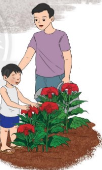 Giáo án Tiếng Việt lớp 2 Chân trời sáng tạo Học kì 2