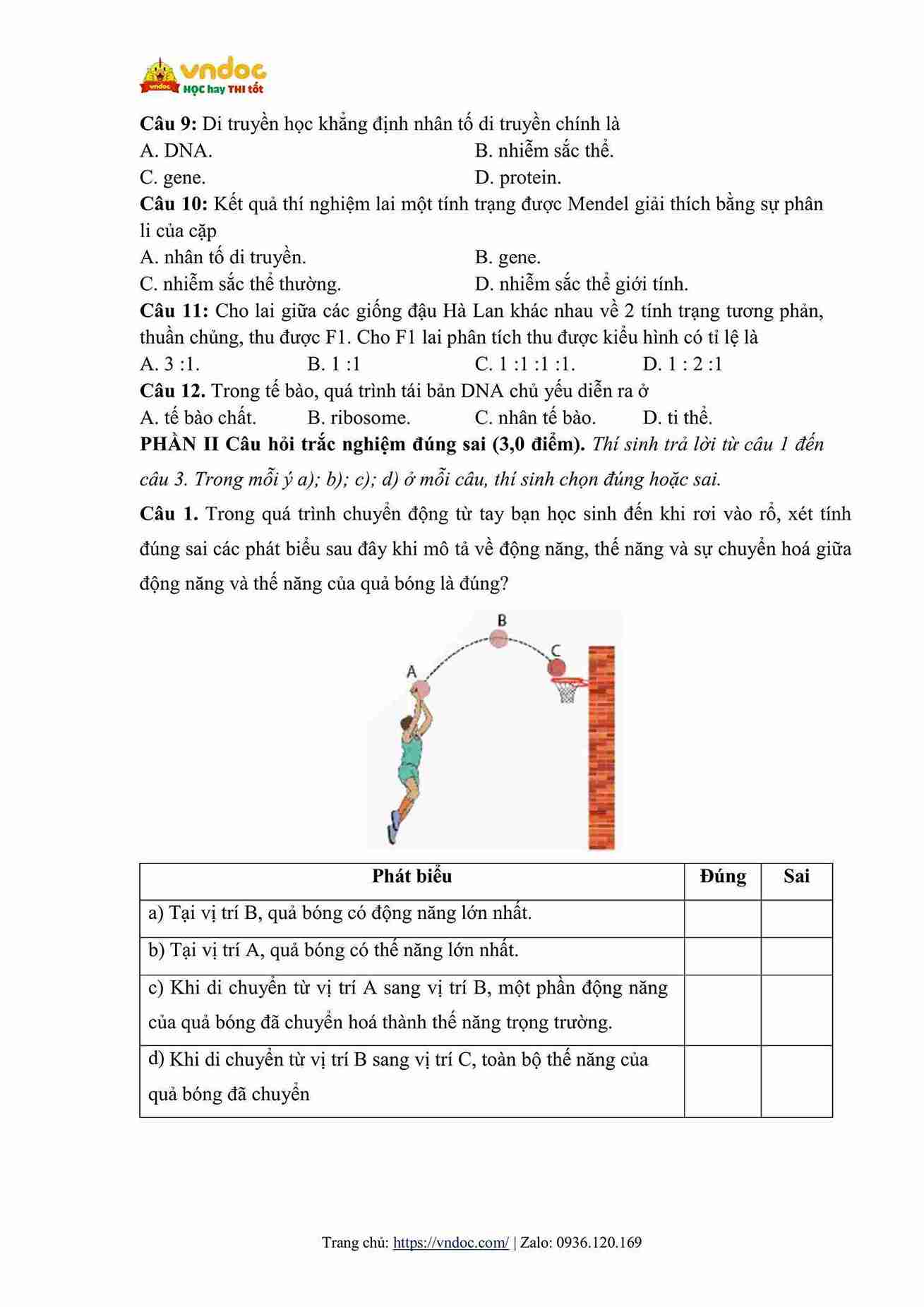 de thi giua hoc ki 1 khoa hoc tu nhien 9 ket noi tri thuc cv 7991 hinh anh 1 1*802448