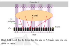Giải Chuyên đề Vật lí 12 Cánh diều bài 1: Tia X và tạo ảnh bằng tia X