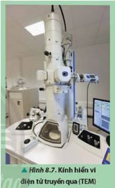 Giải Chuyên đề Vật lí 12 Chân trời sáng tạo bài 8