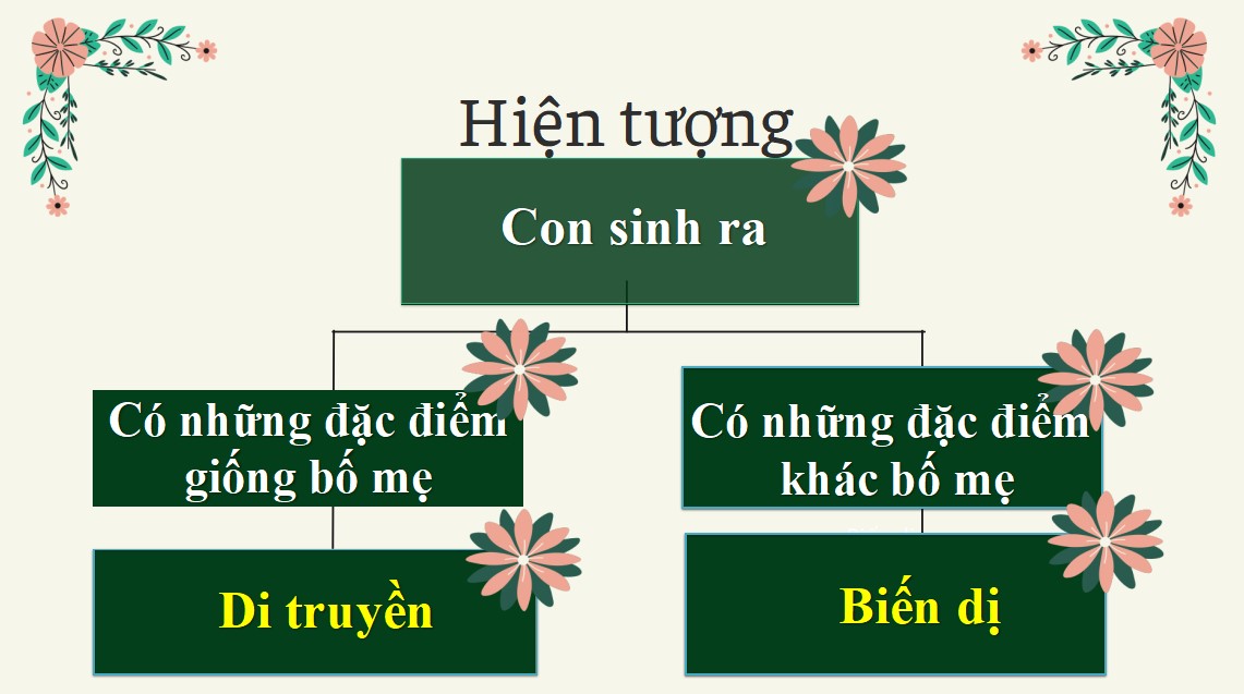 PowerPoint Khoa học tự nhiên 9 KNTT Bài 36