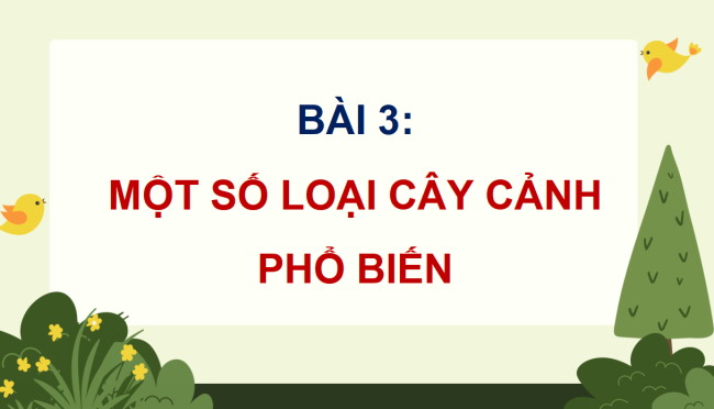 PowerPoint Công nghệ 4 Bài 3: Một số loại cây cảnh phổ biến
