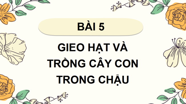 PowerPoint Công nghệ 4 Bài 5: Gieo hạt và trồng cây con trong chậu