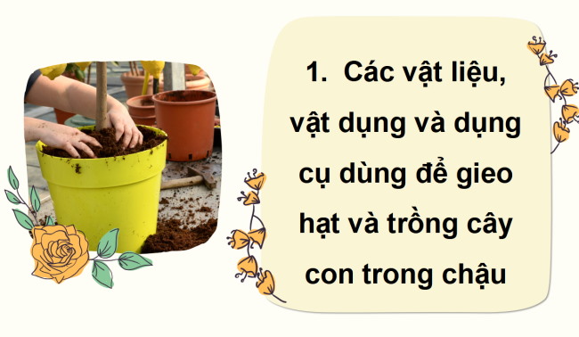 PowerPoint Công nghệ 4 Bài 5: Gieo hạt và trồng cây con trong chậu