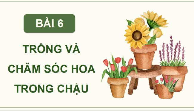 PowerPoint Công nghệ 4 Bài 6: Trồng và chăm sóc hoa trong chậu