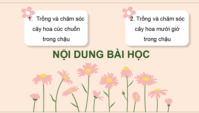 PowerPoint Công nghệ 4 Bài 6: Trồng và chăm sóc hoa trong chậu