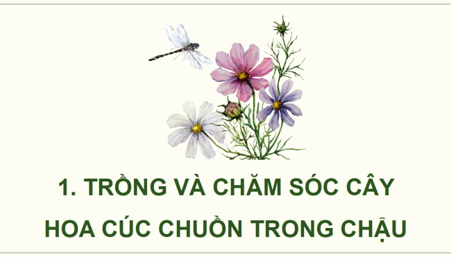 PowerPoint Công nghệ 4 Bài 6: Trồng và chăm sóc hoa trong chậu