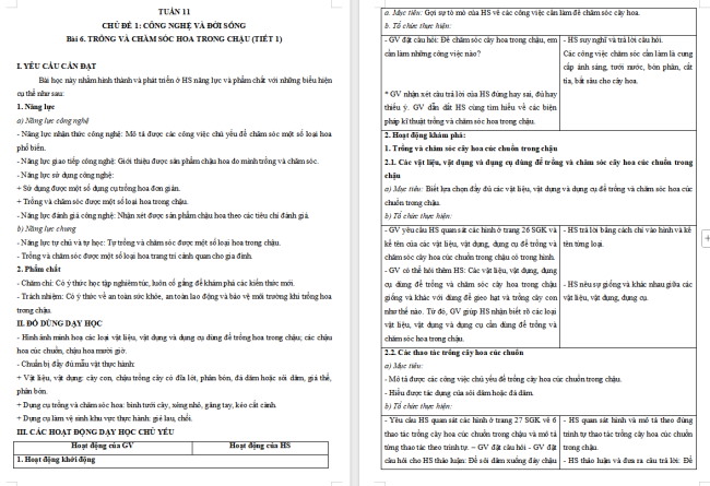 Giáo án Công nghệ 4 Bài 6: Trồng và chăm sóc hoa trong chậu