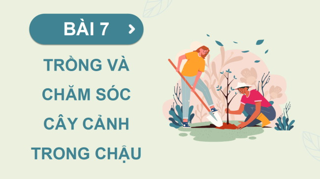 PowerPoint Công nghệ 4 Bài 7: Trồng và chăm sóc cây cảnh trong chậu
