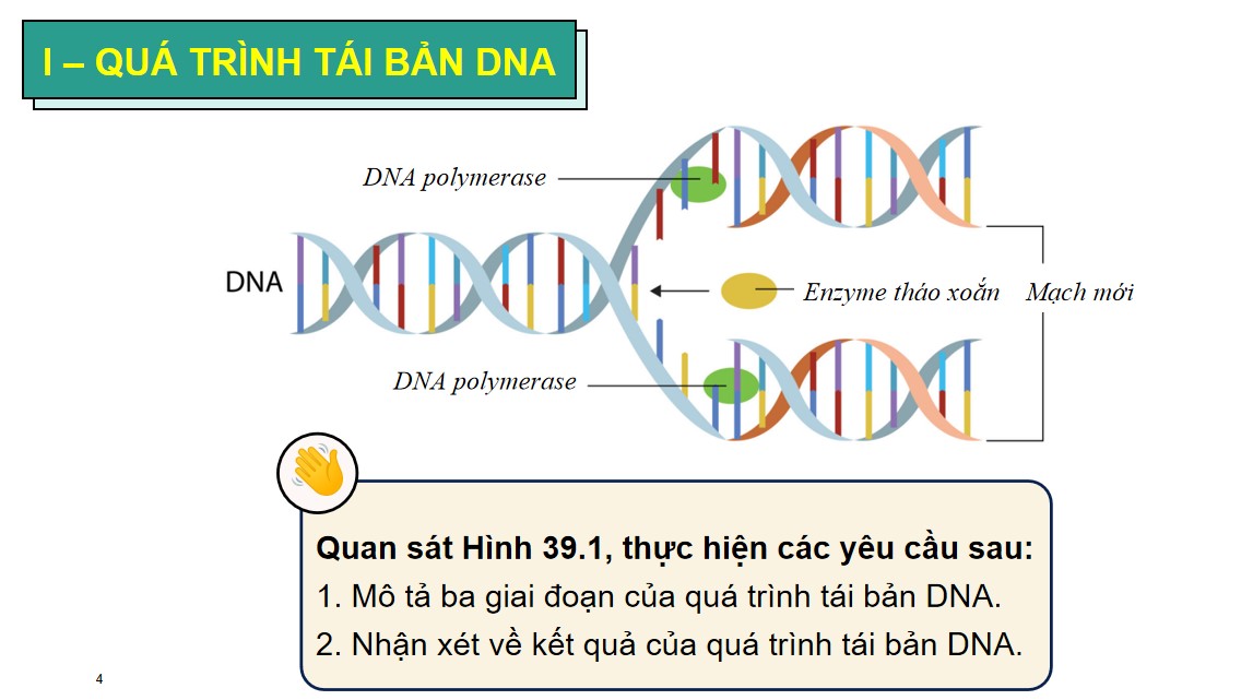 PowerPoint Khoa học tự nhiên 9 KNTT Bài 39