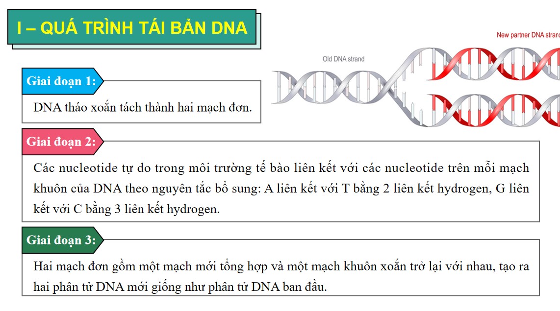 PowerPoint Khoa học tự nhiên 9 KNTT Bài 39