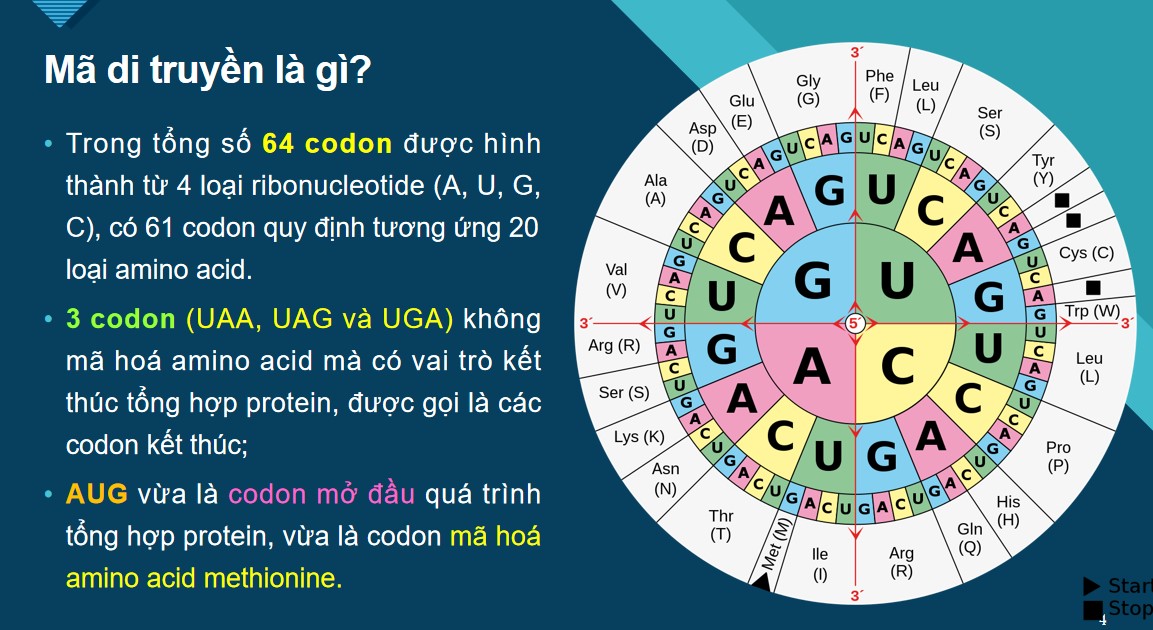 PowerPoint Khoa học tự nhiên 9 KNTT Bài 40