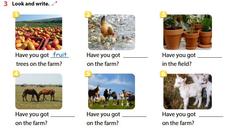 Sách bài tập Tiếng Anh 4 Wonderful world Unit 3 lesson 3 minh họa 2