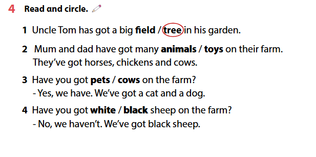 Sách bài tập Tiếng Anh 4 Wonderful world Unit 3 lesson 3 minh họa 4