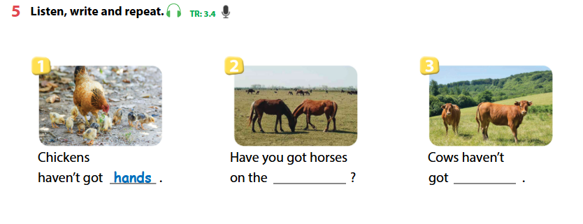 Sách bài tập Tiếng Anh 4 Wonderful world Unit 3 lesson 3 minh họa 5