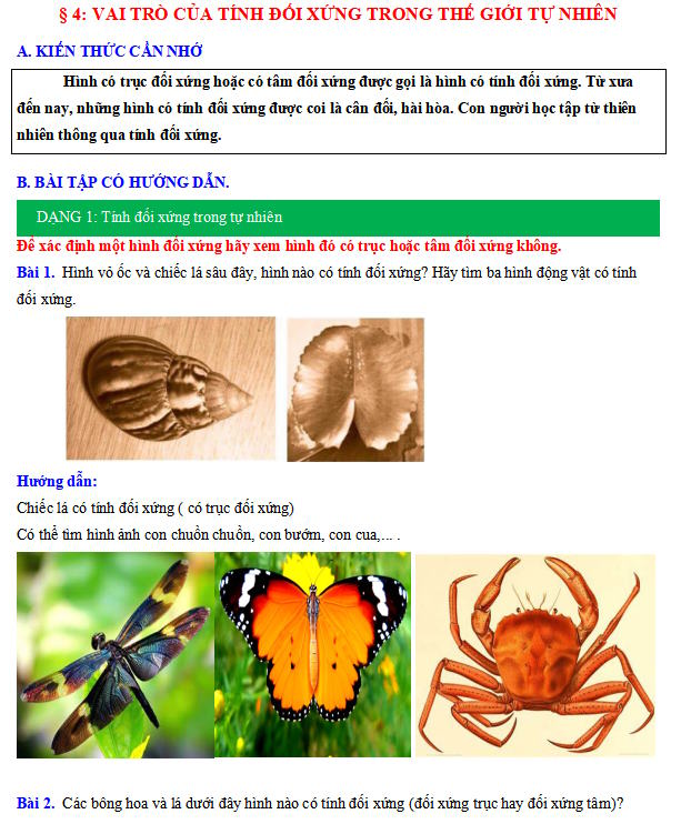 Vai trò của tính đối xứng trong thế giới tự nhiên