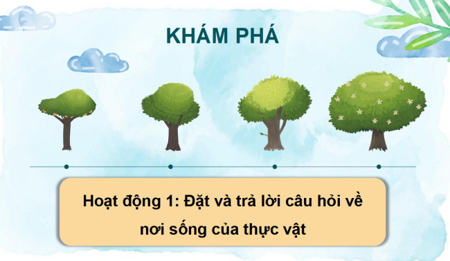 PowerPoint Tự nhiên và xã hội 2 Bài 14: Thực vật sống ở đâu