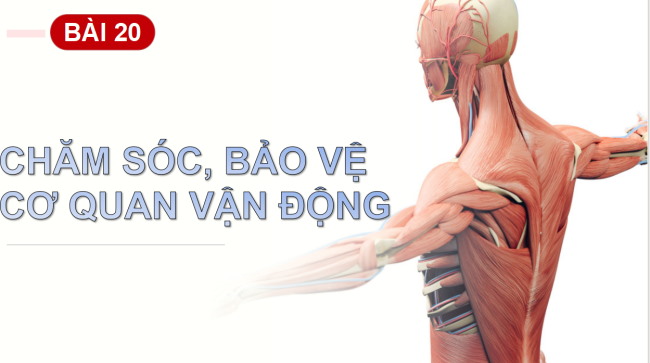 PowerPoint Tự nhiên và xã hội 2 Bài 20: Chăm sóc, bảo vệ cơ quan vận động