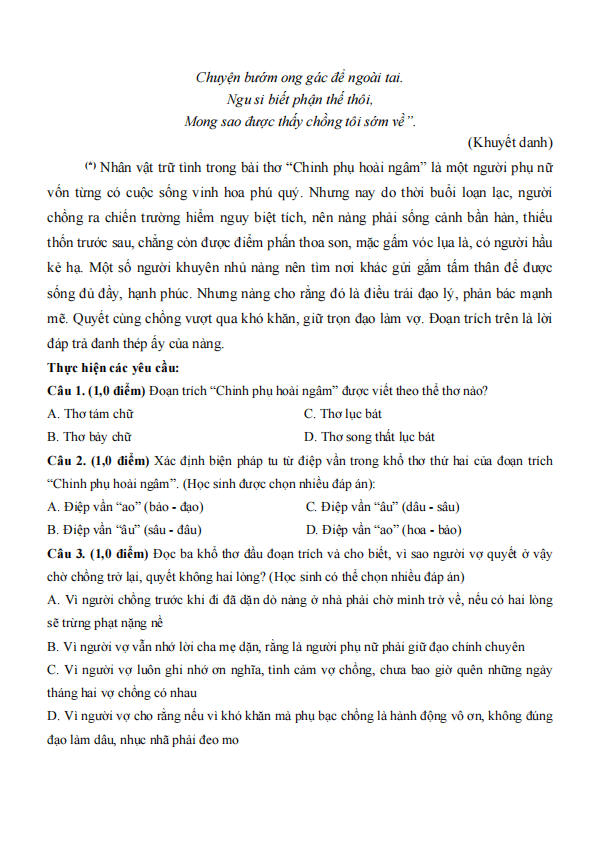 de thi giua ki 1 van 9 canh dieu theo cv 7991 de2 h2 1*805668