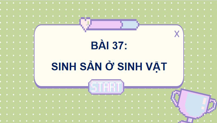  Sinh sản ở sinh vật