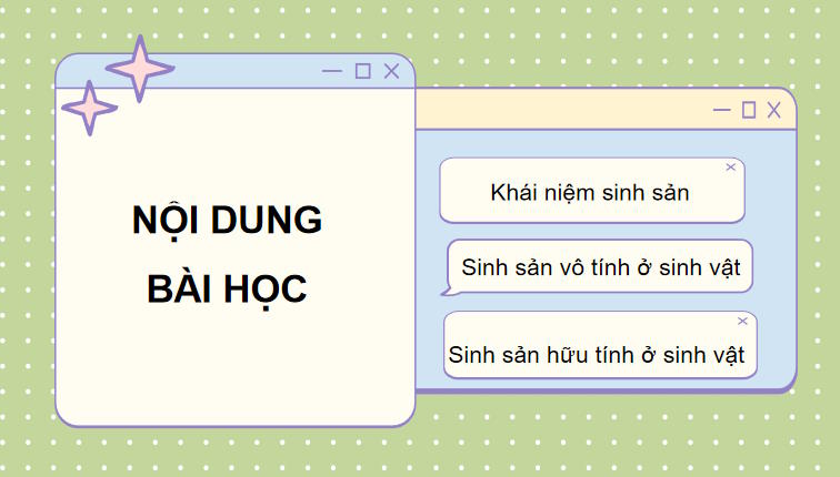  Sinh sản ở sinh vật