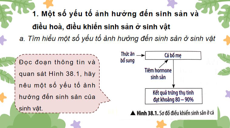 Giáo án PowerPoint Khoa học tự nhiên 7 Bài 38