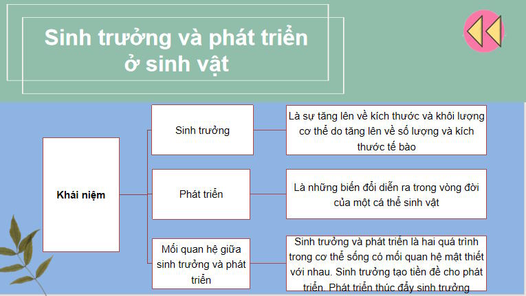 PowerPoint KHTN 7 Ôn tập chủ đề 8, 9