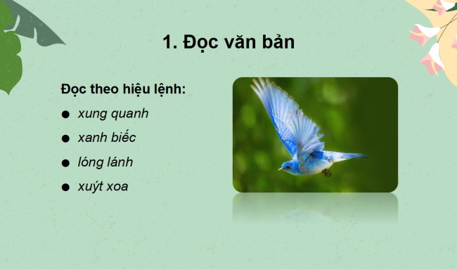 PowerPoint Tiếng Việt 2 Bài 7: Cây xấu hổ