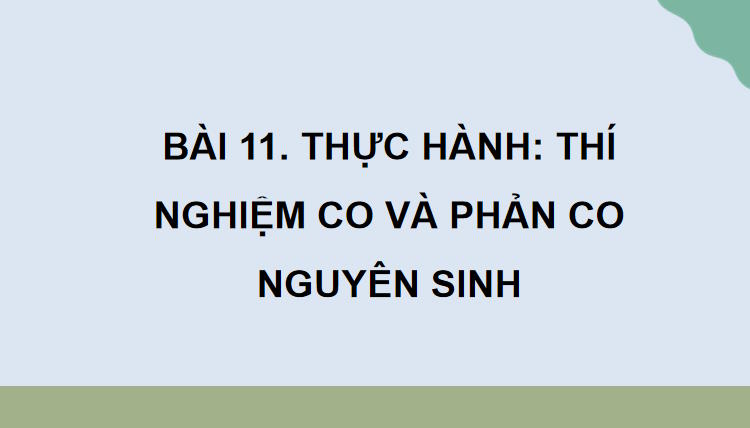 Giáo án PowerPoint Sinh học 10 Kết nối tri thức Bài 11